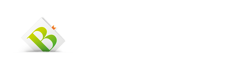 Hans A. Bernecker Börsenbriefe GmbH