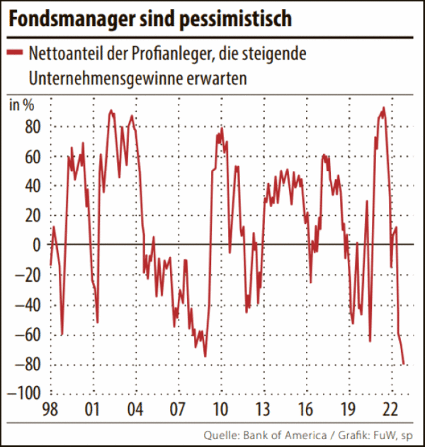 Fondsmanager pessimistisch